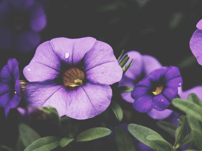 sudoku row column box screenshot 6